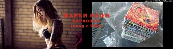 гашик Алзамай