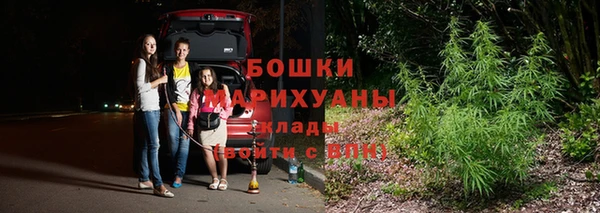 гашик Алзамай