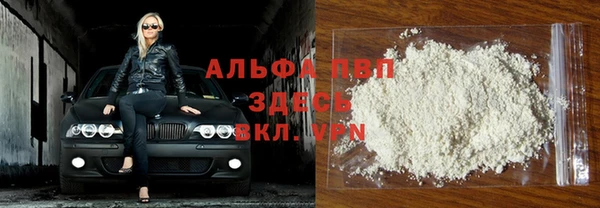 гашик Алзамай