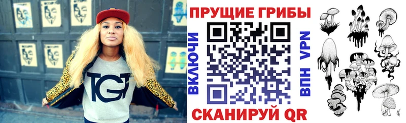 Галлюциногенные грибы Cubensis  Моздок 